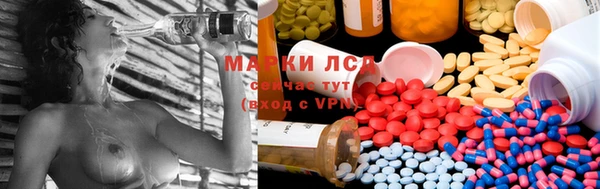 ECSTASY Майский